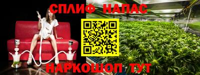 стаф Малгобек