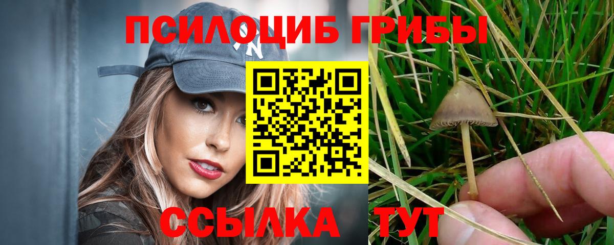 Верхняя Салда  Галлюциногенные грибы GOLDEN TEACHER  Галлюциногенные грибы прущие грибы  Вход с VPN 